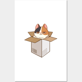 Calico cat in the box Posters and Art